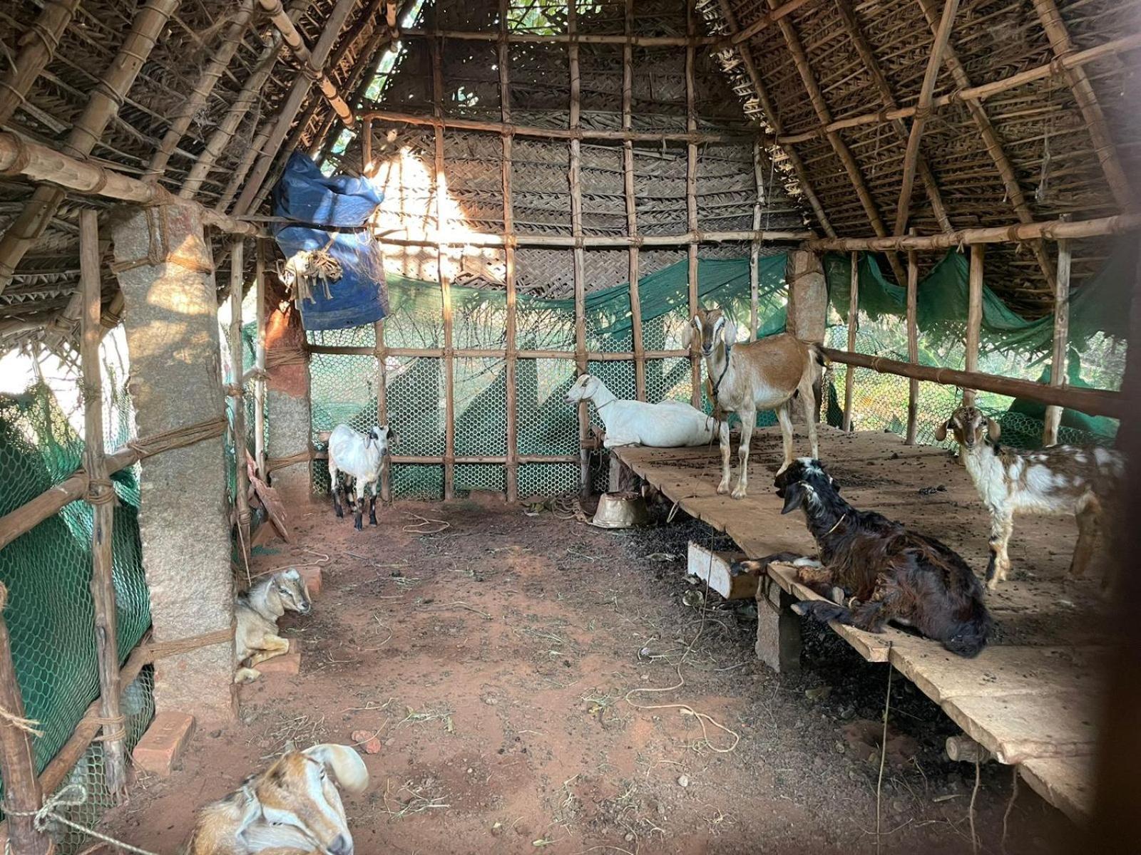 Kālapettai Paradise Quest Nature Farmhouse 빌라 외부 사진